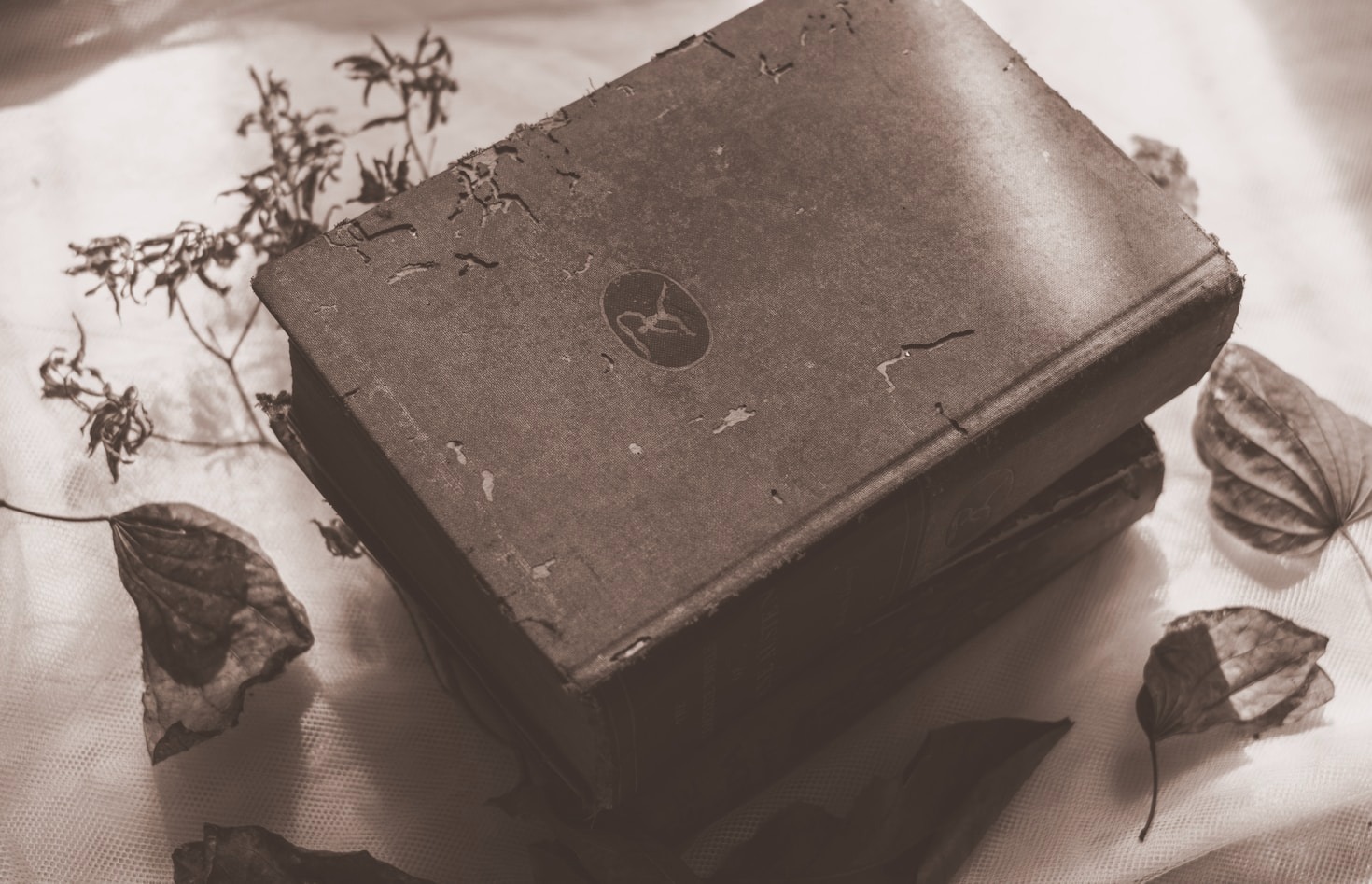 Exploring British Literature Through Ireland’s Scenic Lens